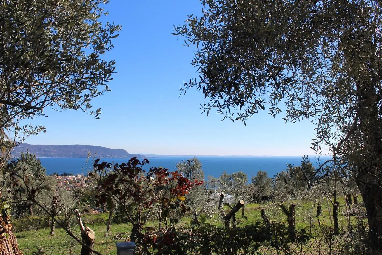 דירות טוסקולנו מדרנו Relax In The Olive Grove